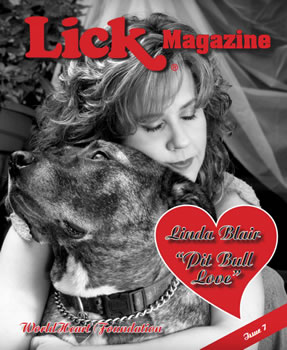 Link Magazine